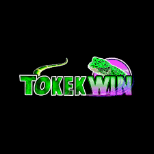 TOKEKWIN - Aplikasi Panggilan VoIP Terbaik untuk Sosial & Chat